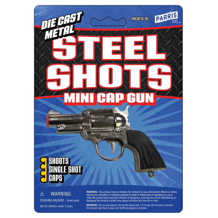 STEEL SHOTS